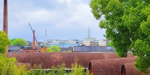 景德鎮專業地陪/外語導遊:古窯與現代演繹 外賓接待 EA