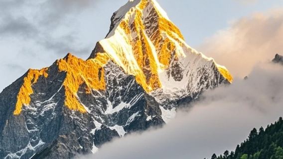 ○ Private Tagestour zum Berg Siguniang – Tickets – Autovermietung – Entdecken Sie die Naturwelt im Westen von Sichuan