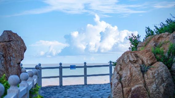 澳門威尼斯人+官也街+澳門旅遊塔【10小時包車-可自訂行程】