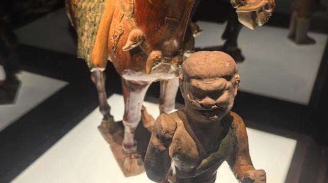 洛陽博物館景區講解【首批國家一級博物館|十三朝古都歷史回望|深度講解】