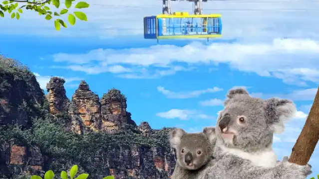 【平治團&中巴團/林肯岩/動物園/3纜車】動物園+藍山一日遊