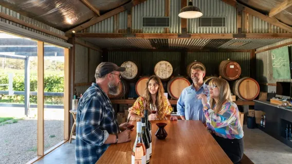 Adelaide: tour di degustazione di vini Barossa Premium e pranzo in cantina