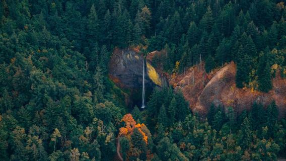 Portland: Multnomah Falls Scenic Flight Tour