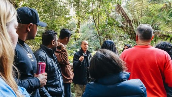 From Melbourne: Great Ocean Road, 12 Apostles, Wildlife Tour