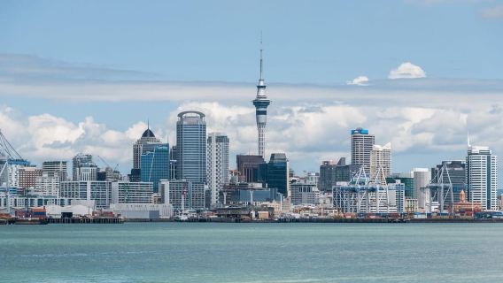 Auckland City & Native Kiwi Encounter Half Day Tour