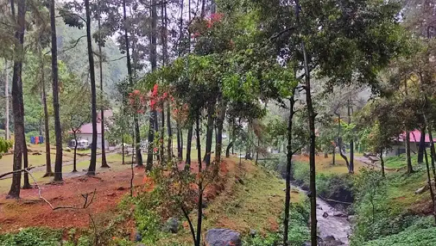 從雅加達出發：茂物植物園、稻田和瀑布