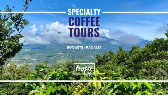 Boquete, Panama: Tour cà phê đặc sản