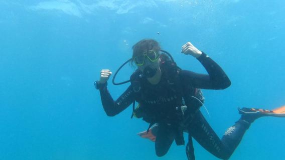 Tenerife sur: Buceo para principiantes en Adeje