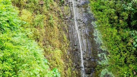 Hawaiianische Wasserfallwanderung