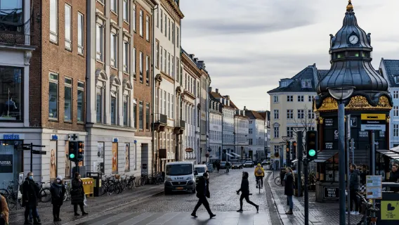 Copenaghen: tour a piedi Hygge e attrazioni principali con guida locale