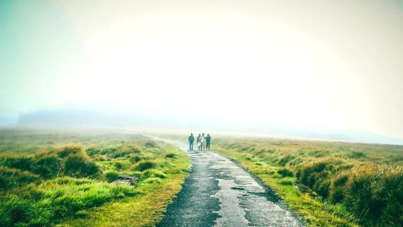 Horton Plains National Park From Nuwara Elia Tuk Tuk Tour