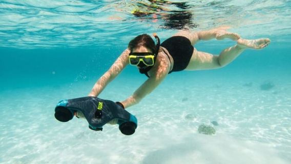 โบแนร์: ทัวร์ดำน้ำตื้นพร้อมไกด์ (กลุ่มเล็ก)