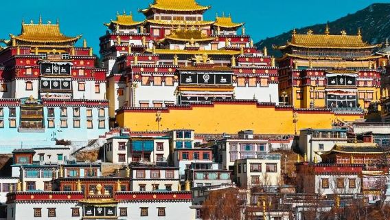 Shangri-La Scenic Area (Pudacuo/Napa Sea/Balagezong/White Water Terrace/Xiaozhongdian) Private Tour