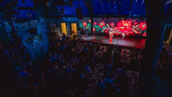 Budapest: Hungarian Dinner & Folklore Show with Live Music
