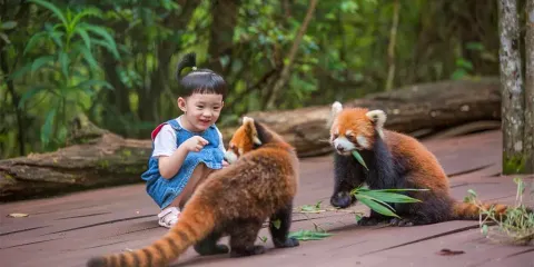 普洱太陽河森林公園+普洱銀生茶莊園一日遊【市區上門接送】