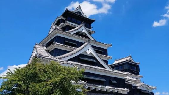Japan Kumamoto Castle Aso Volcano Kusasenri Aso Road Station 1-day tour Departs from Fukuoka (1 person)