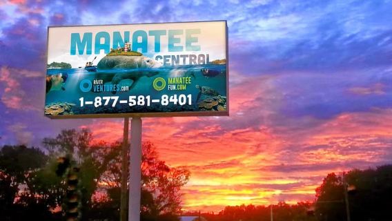 Crucero fluvial con avistamiento de manatíes