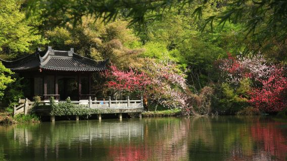 棲霞山賞秋一日遊