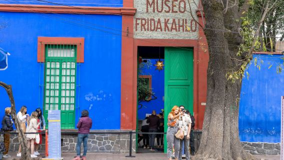 Frida Kahlo & Anahuacalli Museum: Entry Ticket + Digital Guide