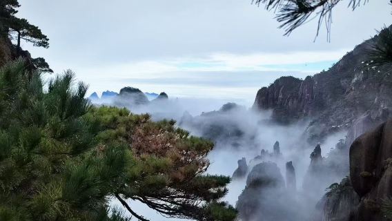 上饒三清山純玩一日含索道入場門票東方女神·巨蟒出山·高空棧道