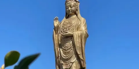 普陀山門票+來回船票+導遊服務【舟山普陀山風景區旅行團一日遊】