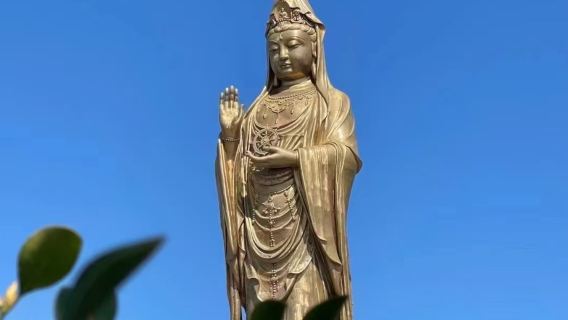 普陀山門票+來回船票+導遊服務【舟山普陀山風景區一日遊】拼團