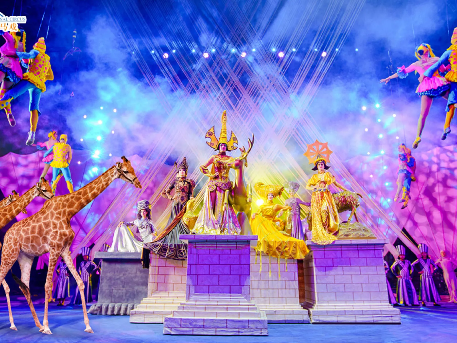 Guangzhou Family Tour: Chimelong Safari Park + Guangzhou Chimelong International Circus