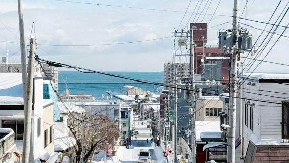 日本小樽/旭川/美瑛/富良野/洞爺湖/登別-札幌來回任選一日