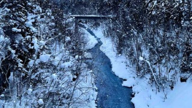 日本札幌來回+旭山動物園+白鬚瀑布+七星之樹+青池/私家包車