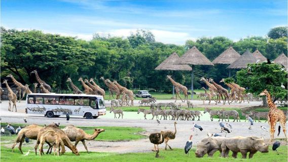 Bangkok Safari World + Marine Park 1-day tour with optional buffet/hotel transfer