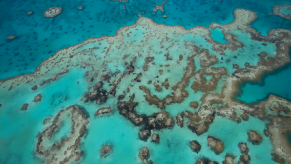 [Topik Tinggi] Penerbangan Helikopter Menikmati Pemandangan Great Barrier Reef di Cairns, Australia