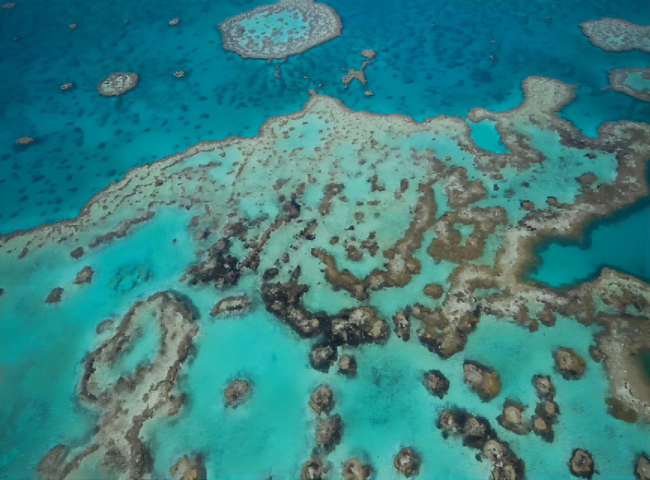 [Specialità in volo] Tour in elicottero sulla Grande barriera corallina a Cairns, Australia