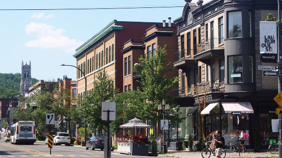 Mile-End + Pasar Jean-Talon + Montreal Lama + Gereja St. Joseph