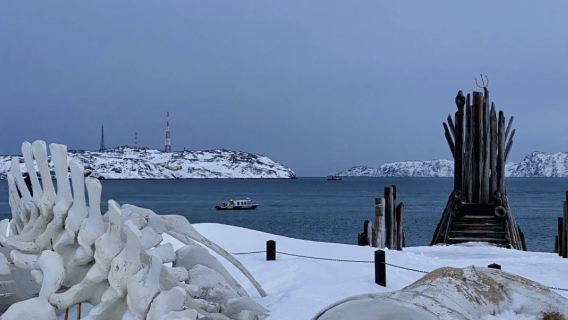 Мурманск + Териберка: однодневный тур [избранный групповой тур - от 2 человек]