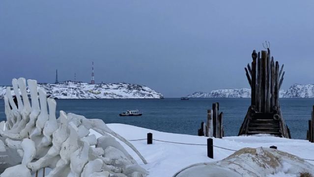 Мурманск + Териберка: однодневный тур «Северное сияние — зимняя романтика у входа в Арктику»