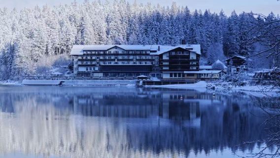 德國慕尼黑一日遊【國王湖+聖巴爾多祿茂教堂+魔法森林】