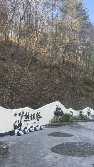 1-day Tour in Shaanxi: Hanzhong Huayang Ancient Town + Panda Valley + Tianhan Wetland Park (Bilingual Service in Chinese and English)
