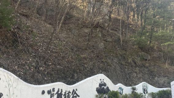 tour di un giorno con servizio in inglese a Hanzhong, Shaanxi: Antica Città Huayang + Valle dei Panda + Parco Umido Tianhan