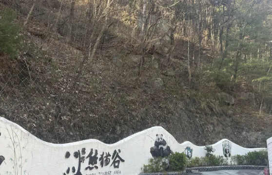 陝西漢中華陽古鎮+熊貓谷+天漢濕地公園一日遊中英文服務