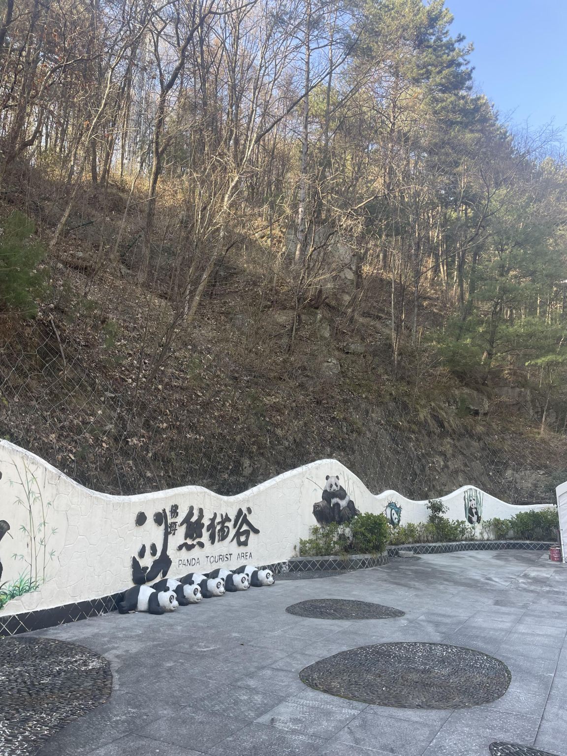 Excursión de un día en Hanzhong, Shaanxi: Antiguo pueblo de Huayang + Valle de los Pandas + Parque de Humedales Tianhan con servicio en inglés