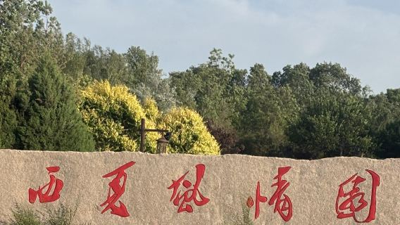 Layanan perjalanan satu hari berbahasa Inggris untuk Taman Situs Arkeologi Nasional Mausoleum Xia Barat Yinchuan + Taman Lanshan + Paviliun Yuhuang