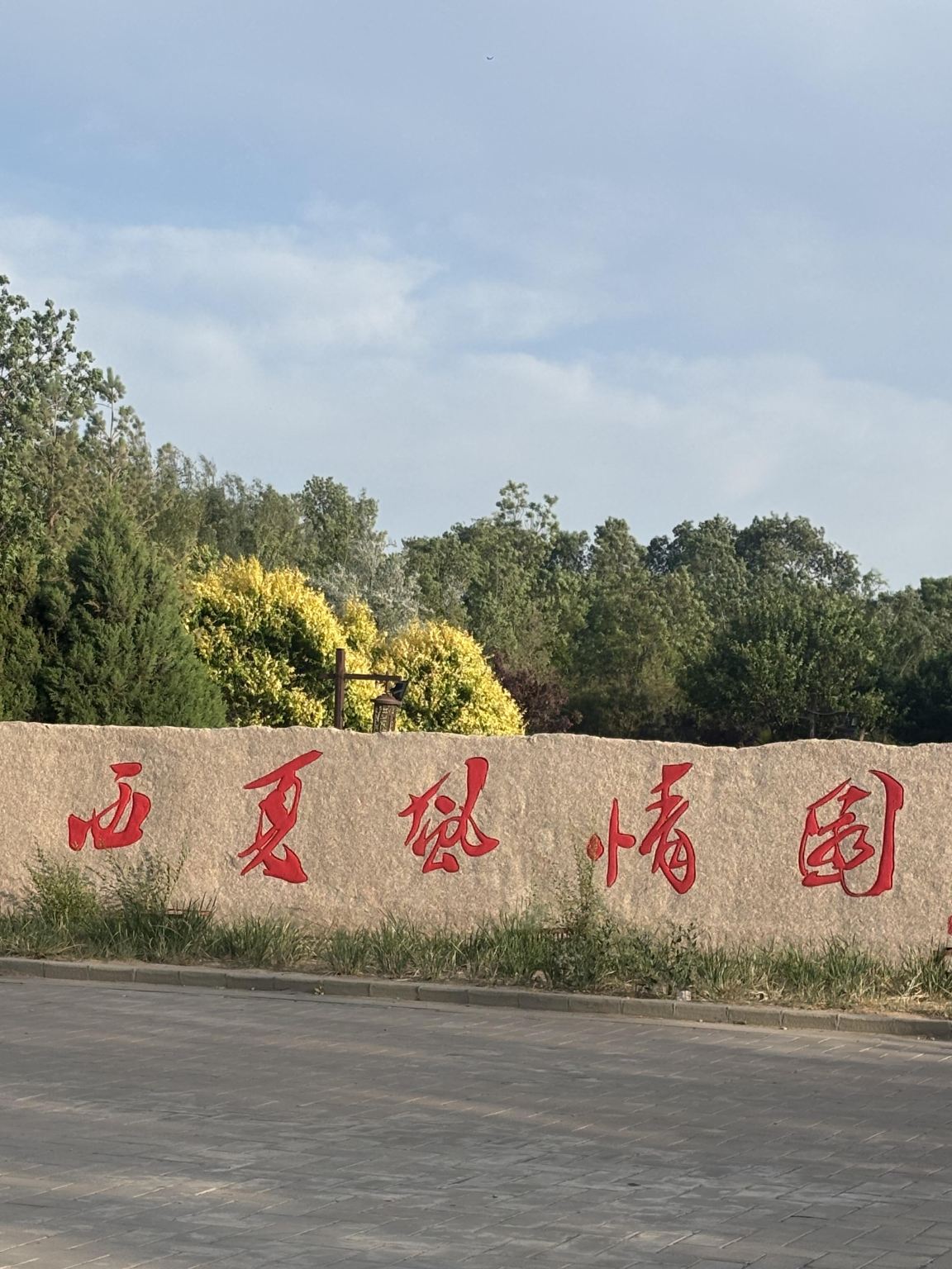 Tour di un giorno con servizio in inglese al Parco Archeologico Nazionale delle Tombe Xixia di Yinchuan, Parco Lanshan e Padiglione Yuhuang