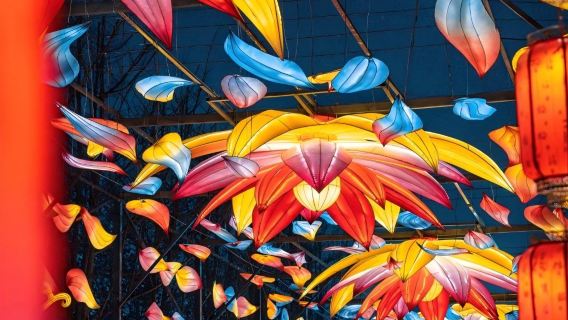 貴州遵義包車9小時一天遊紅果樹+ 海龍屯十 烏江寨景區