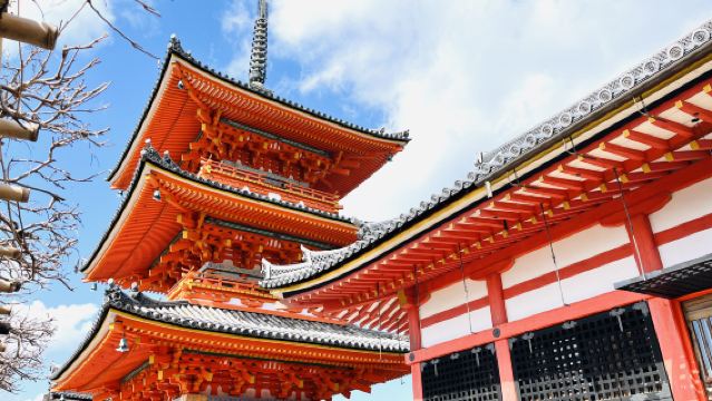 Eendaagse tour naar Kioto en Nara in Japan|Kiyomizu-dera|Fushimi Inari-taisha|Nara Park|Matcha-ervaring