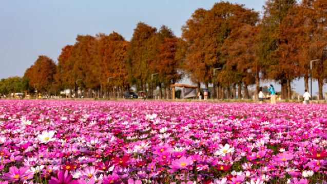 中山詹園+孫中山故居+崖口村+孫文西路一日|私家小團上門接駁