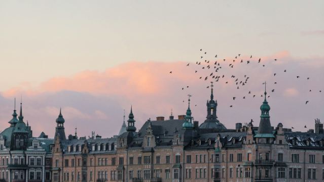 Boek na overleg/Zweden Stockholm Nordiska museet Koninklijk Paleis Riddarholmen-kerk Nobel Museum/luchthaven/point-to-point vervoer/reisgids met chauffeur/privé vervoersservice