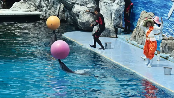 Featured tour starting at 3875 THB: Safari World Bangkok Full Day (Safari + Marine + Buffet Lunch + Private Transfer)