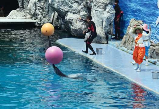 Safari World Bangkok Full Day (Safari + Marine + Buffet Lunch + Private Transfer)