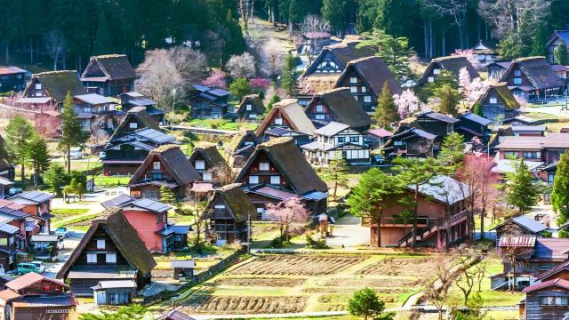 Shirakawa-go Thatched Village & Hida Takayama Tour from Nagoya