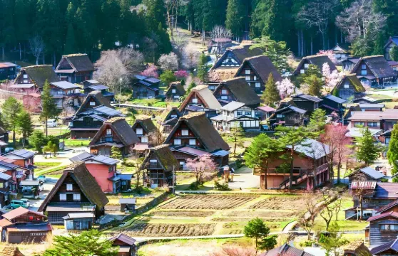 名古屋飛驒高山+白川鄉合掌村一日遊，世界文化遺產